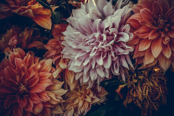 Comment réussir sa décoration de table pour un brunch dominical ?